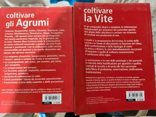 Coltivare la vite, coltivare gli agrumi