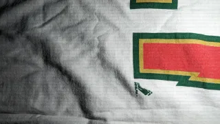 T-shirt Reebok NHL – Minnesota Wild- Vintage USA