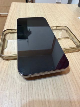 iPhone 13 Pro Max 128GB - Grafito