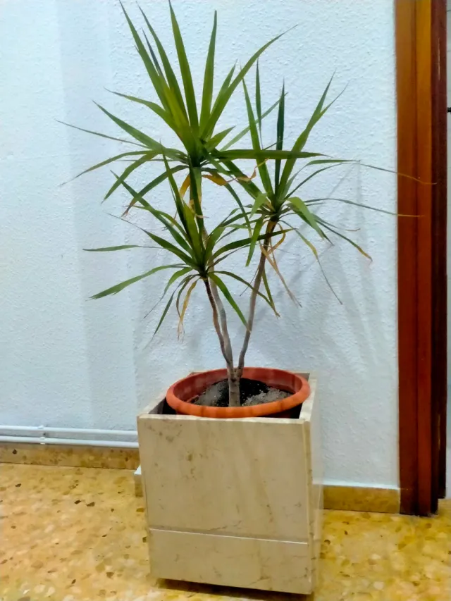 Macetero de mármol beige y blanco