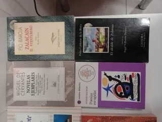 GRANDES CLASICOS DE LA LITERATURA, VER FOTOS