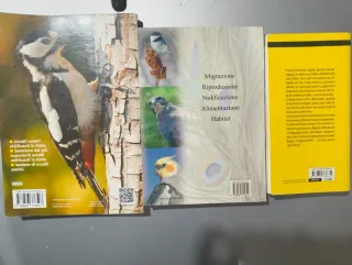 Set da 3: il libro degli uccelli