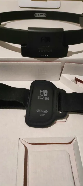 Ringfit Adventure Nintendo Switch