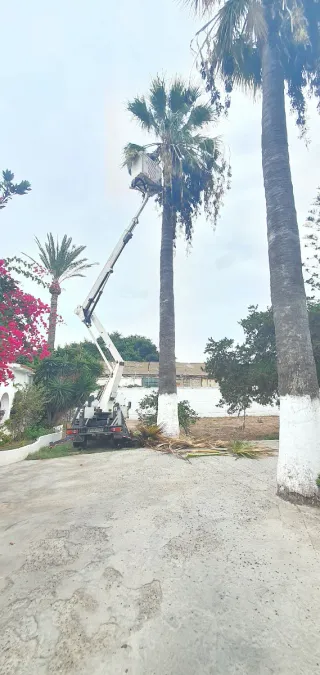 ¡Oportunidad! Vendo Camión Cesta Nissan Cabstar19M