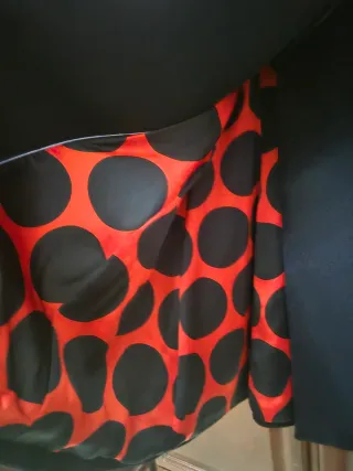 Abrigo El Ganso Negro con Detalles Rojos.