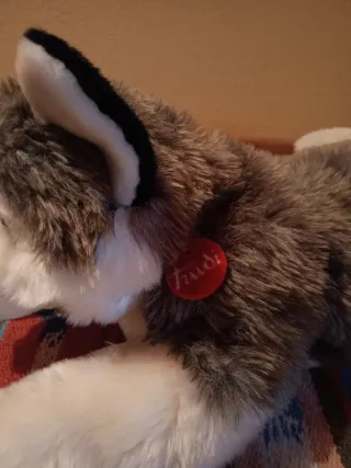 Peluche Husky Marcus Trudy tg L