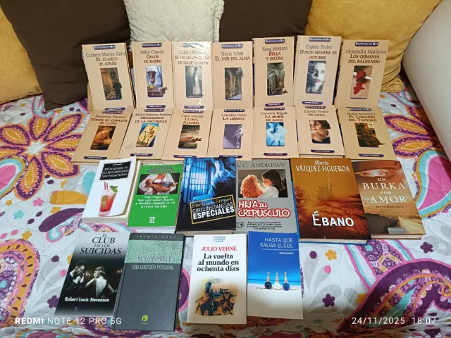 Lote 24 Libros Variados