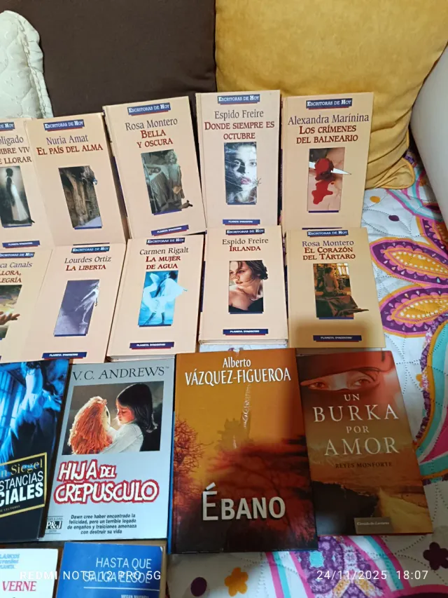 Lote 24 Libros Variados
