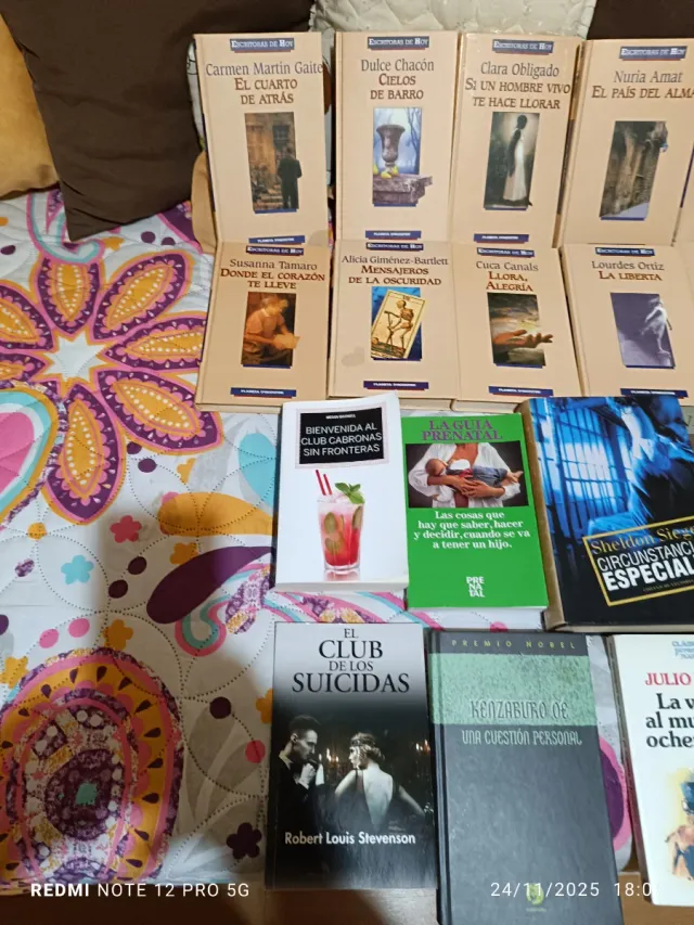 Lote 24 Libros Variados