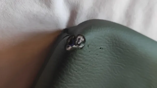 Borsa con pettorina Daniel Chong beige multicolore