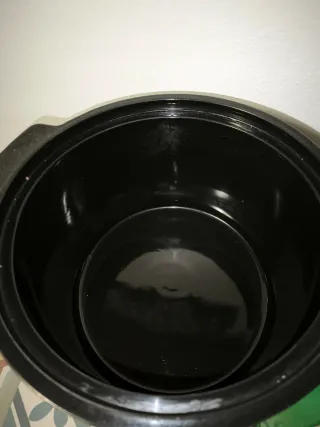 Freidora de Aire (Air Fryer)