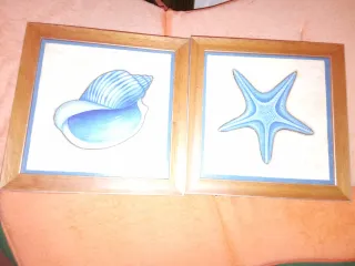 Vendo cuadros a  5  euros cada uno