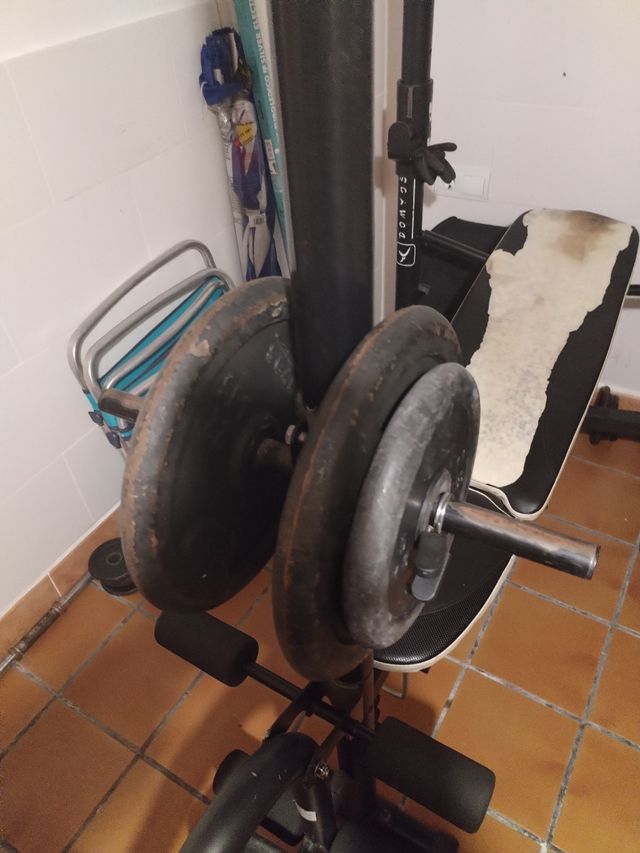 Banco de pesas y discos