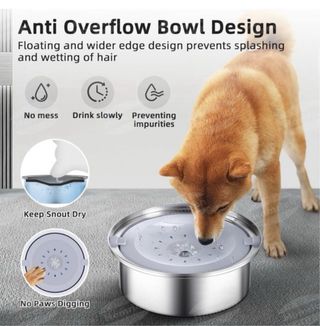 Fontanella per cani 2L