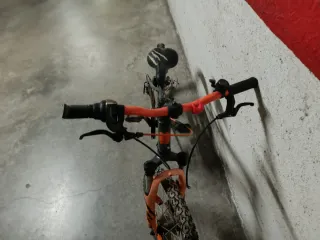 Bicicleta MTB wildee 20 pulgadas