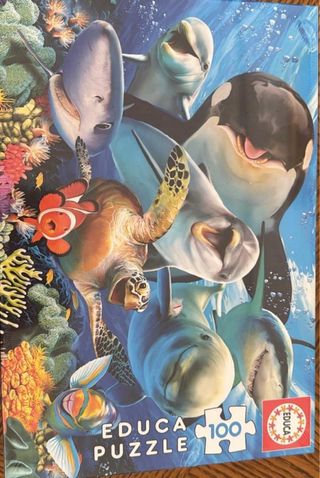 4 Puzzles Educa diferentes temáticas