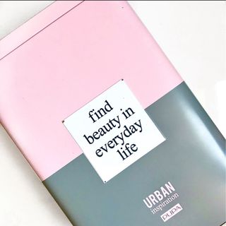 Scatola Pupa rosa/grigio in latta