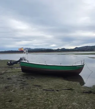 Barco de pesca en venta marca taylor