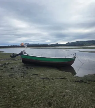 Barco de pesca en venta marca taylor