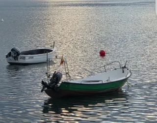 Barco de pesca en venta marca taylor