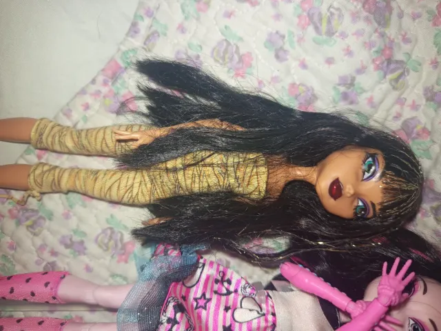 Lote di 2 Bambole Monster High