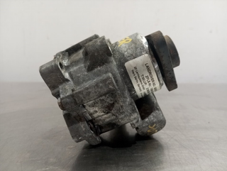 BOMBA DIRECCION LAND ROVER FREELANDER (LN) 204D3