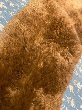 Collo pelliccia marrone