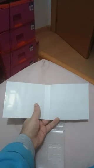 Pokémon edición oro heartgold Nintendo ds