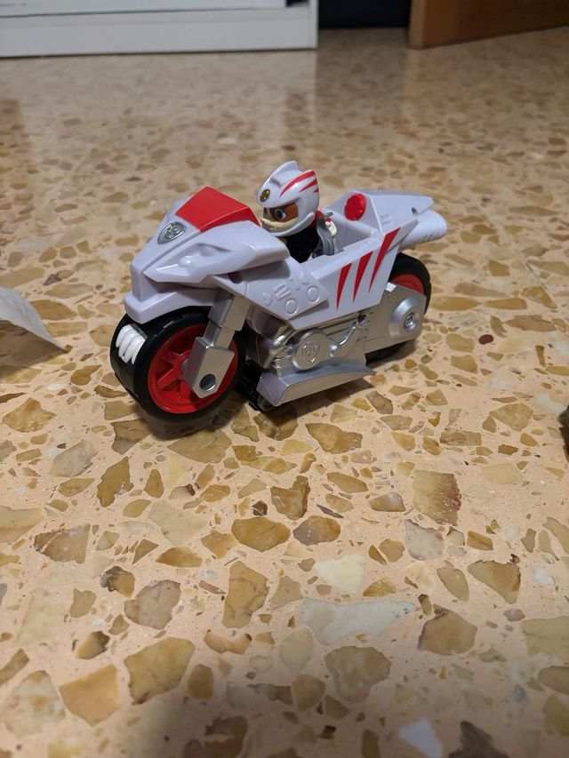 coche + gato patrulla canina