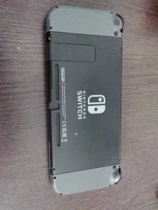 Nintendo Switch Gris y Blanco