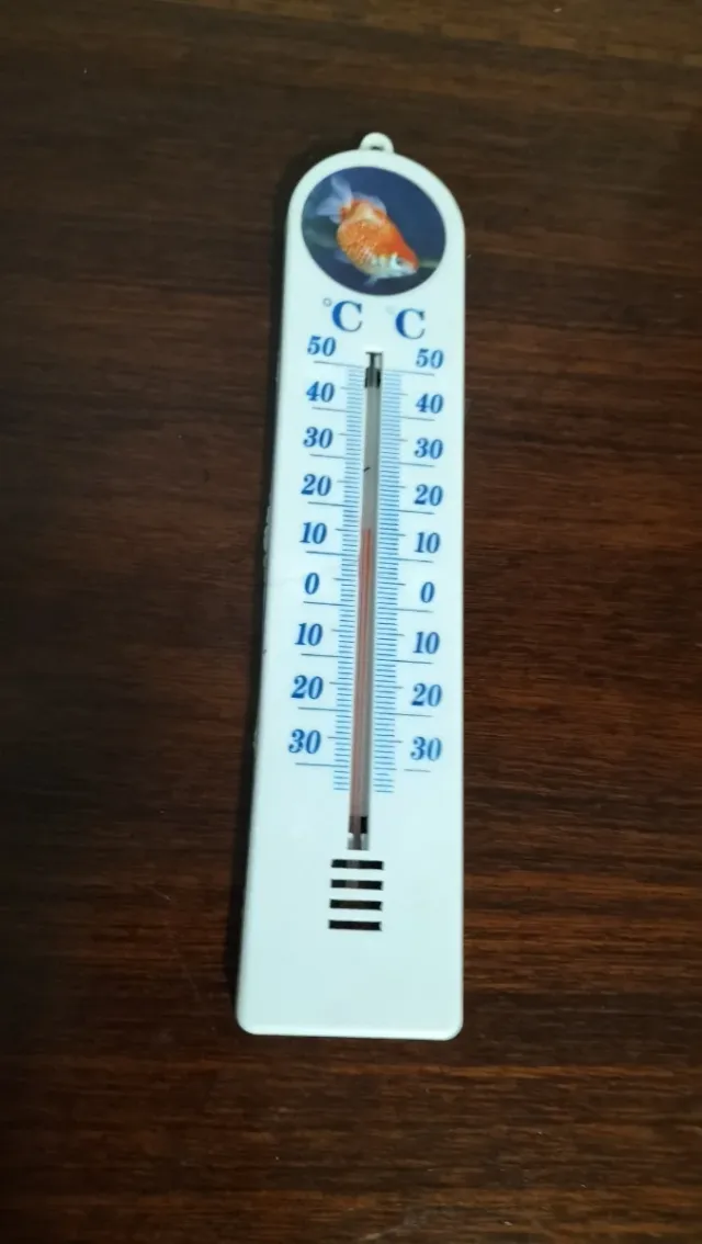 Antiguo termómetro de doble escala