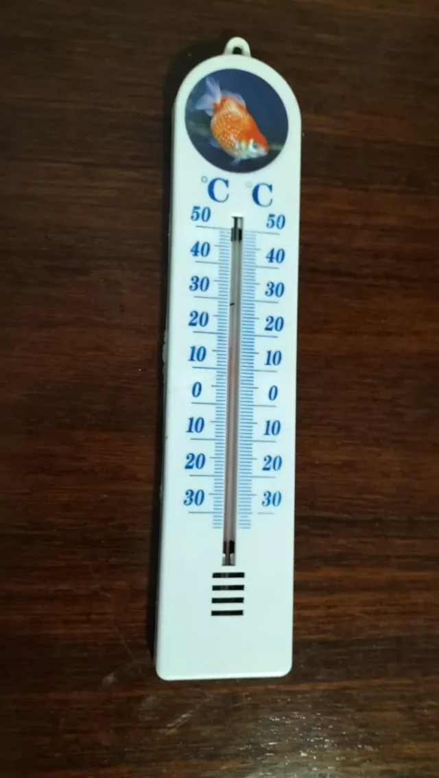 Antiguo termómetro de doble escala