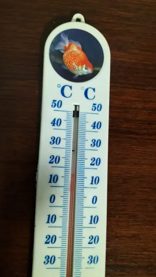 Antiguo termómetro de doble escala