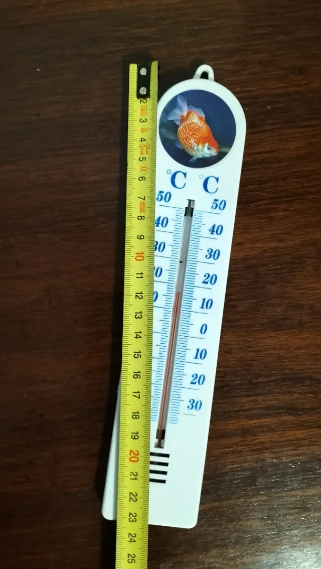 Antiguo termómetro de doble escala