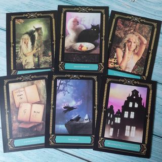 Tarot oráculo wisdom of the house of nig