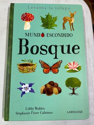 Libros infantil