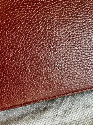 Borsa Gucci Dionysus Pelle Bordeaux