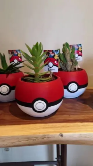 Macetas Pokeball Pokemon