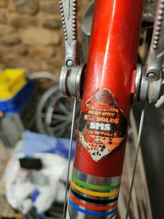 Zeus Grand Prix 1982 - superviviente todo Zeus