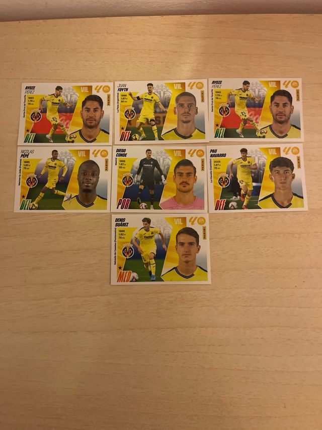 61 cromosomi normali del Villa Real