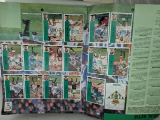 Álbum cromos Liga Fútbol 95/96 Panini