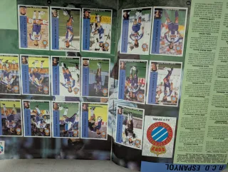 Álbum cromos Liga Fútbol 95/96 Panini