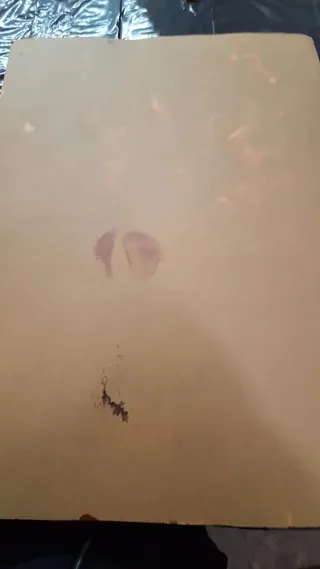 Cuadro de flores y jarrón