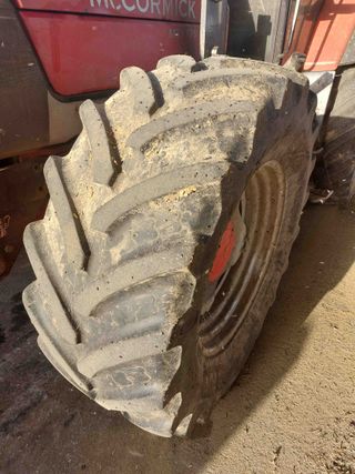 Mc Cormick MTX 175 y Tenias Te40.