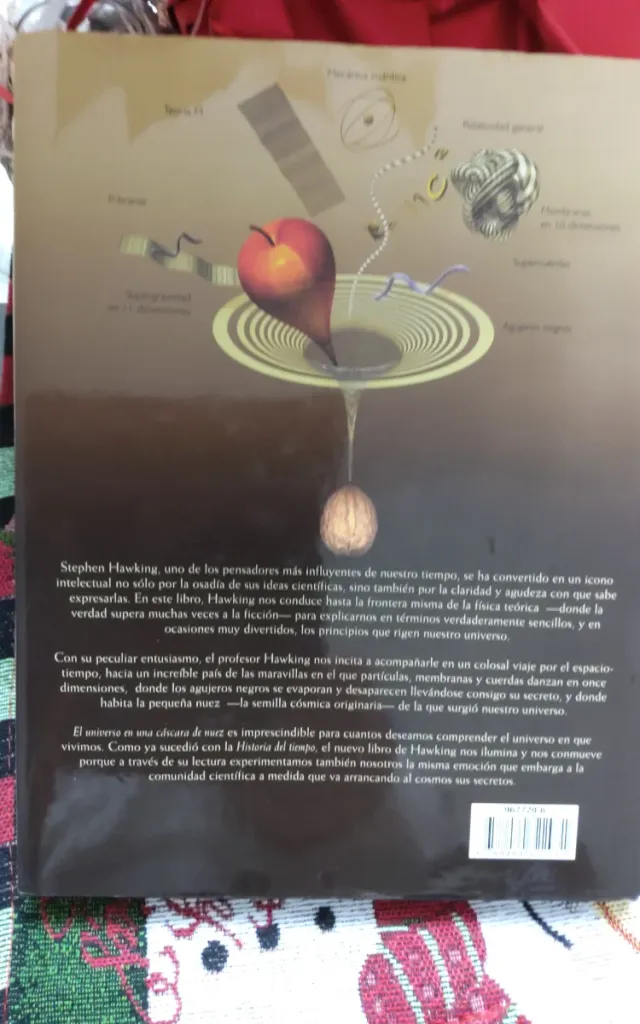 El universo en una cáscara de nuez