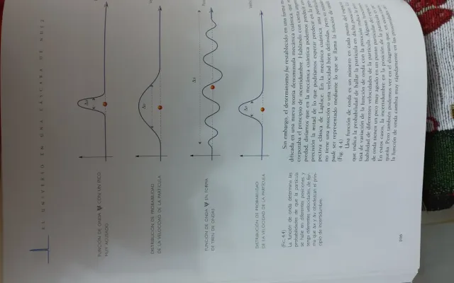 El universo en una cáscara de nuez