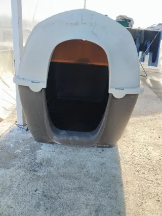 Caseta perro grande beige y marrón