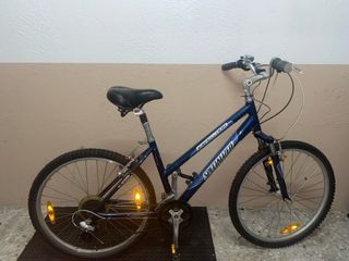 Bicicleta Montaña/Paseo Specialized Expedition