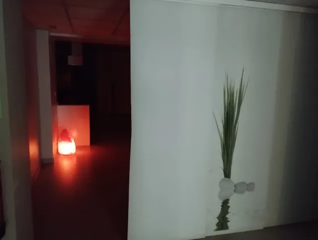 Lámpara de Sal Rosa Grande 15.20kg