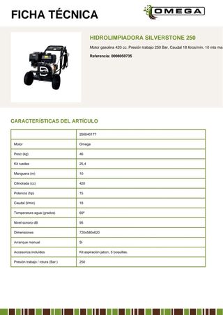 Hidrolimpiadora Gasolina OMEGA 250 Bar